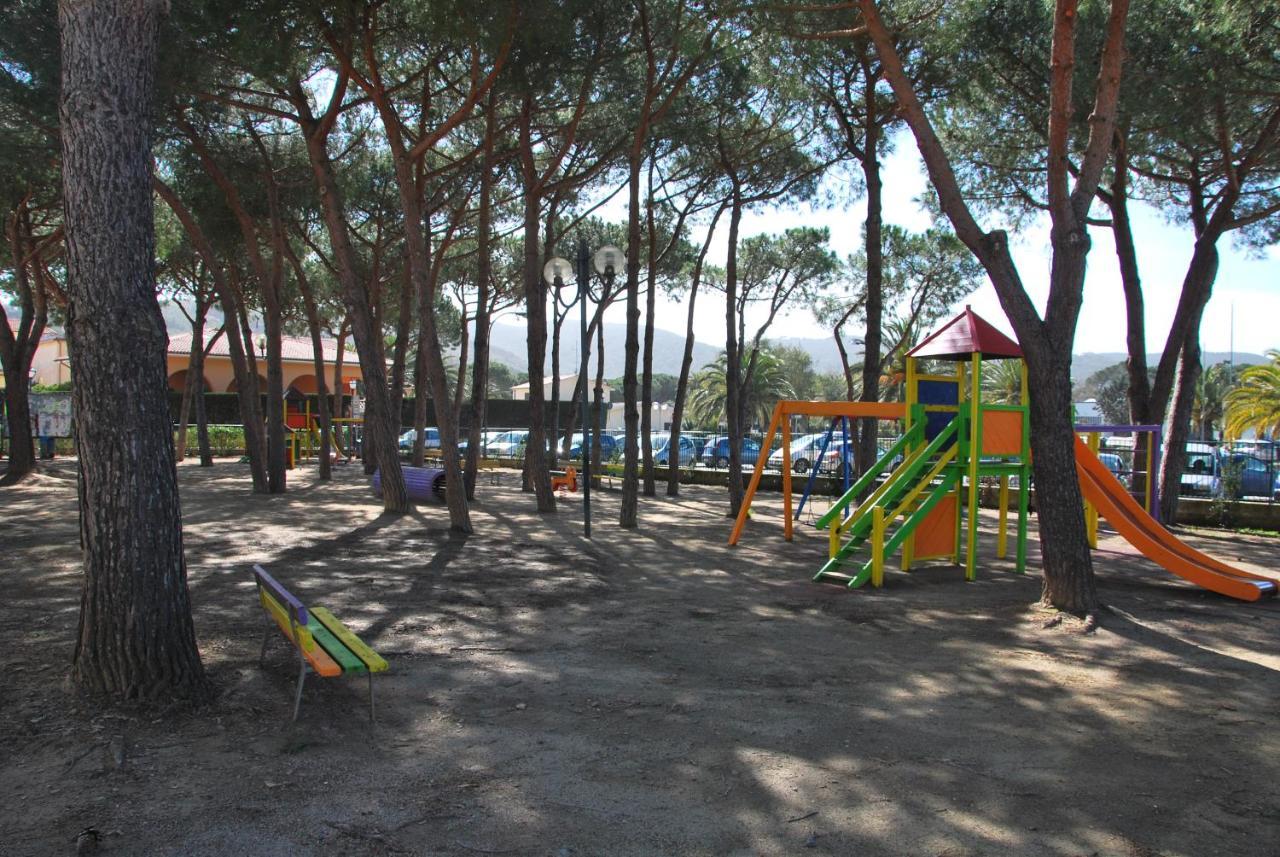 Olivo Marina di Campo